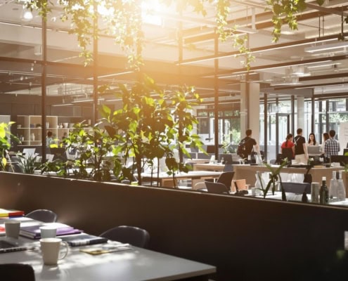 Modern open office with team collaborating and sunlight.