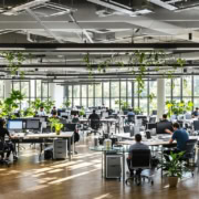Contemporary office with teamwork and interconnected workspaces